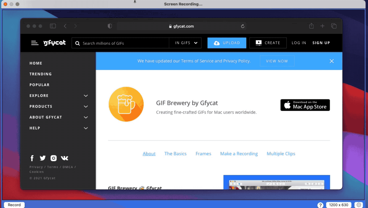 GIF動画を録画するデモ