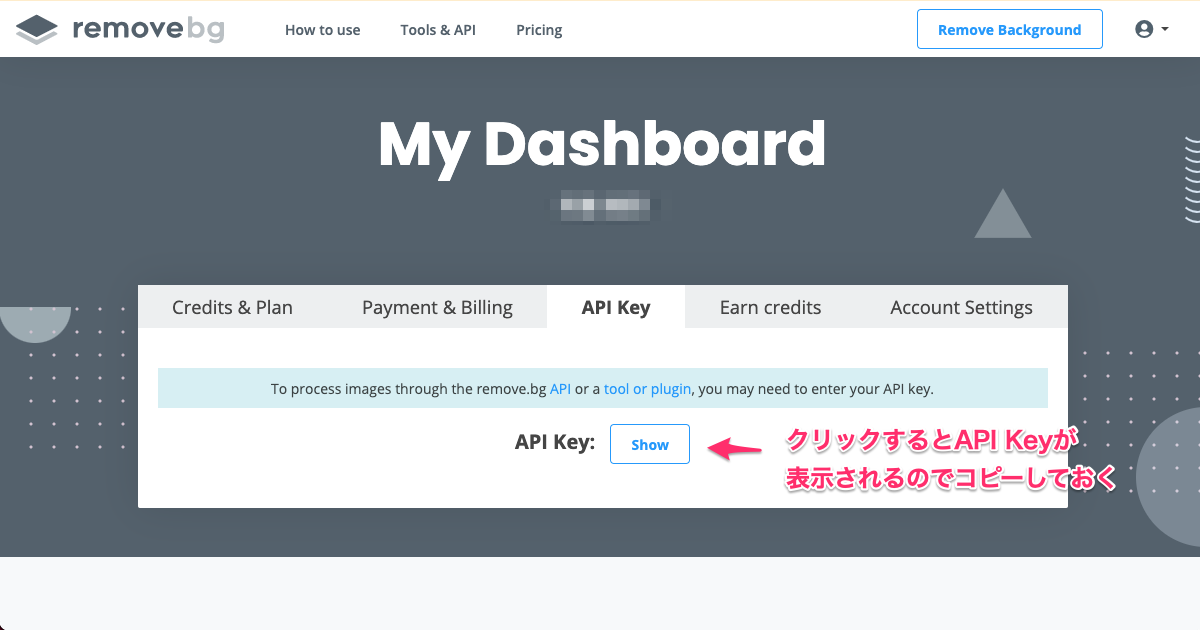 Remove BGのWebサイトでAPIキーを取得する画面