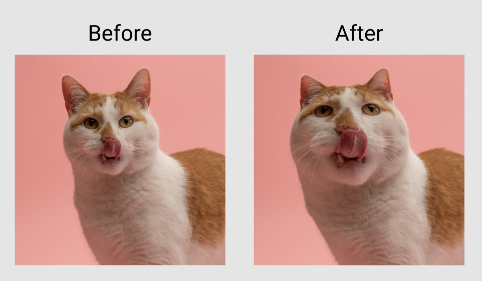 反転エフェクトの適用結果