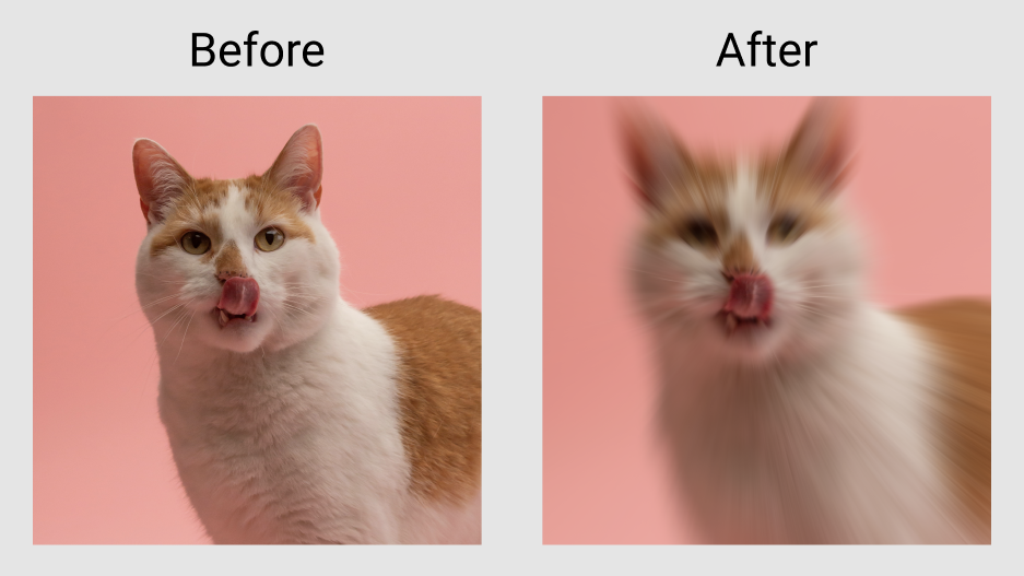 グレースケールエフェクトの適用結果